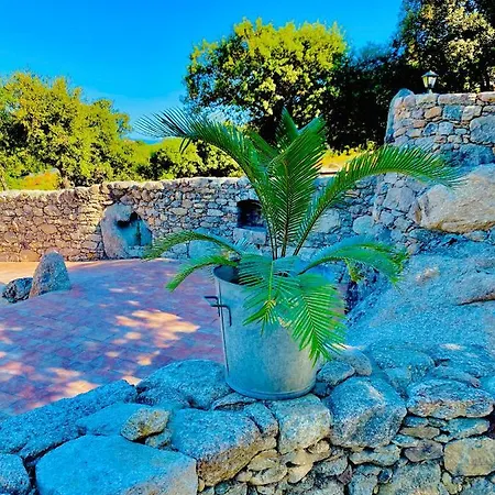 Appartamento Résidence De Luxe 4 étoiles à Pietralba, 4 Piscine Chauffée Balagne Pietralba