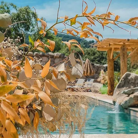 De Luxe 4 Etoiles A Pietralba, 4 Piscine Chauffee Balagne