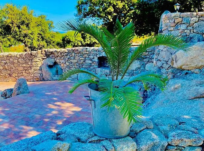 Apartment De Luxe 4 Etoiles A Pietralba, 4 Piscine Chauffee Balagne Pietralba